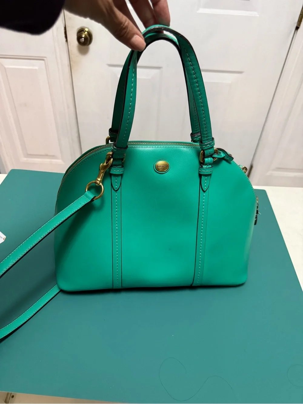 Coach Madison Leather Small Madeline Satchel (or Mini Dome Satchel) Kelly green